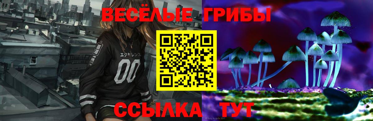 Псилоцибиновые грибы GOLDEN TEACHER Тимашёвск