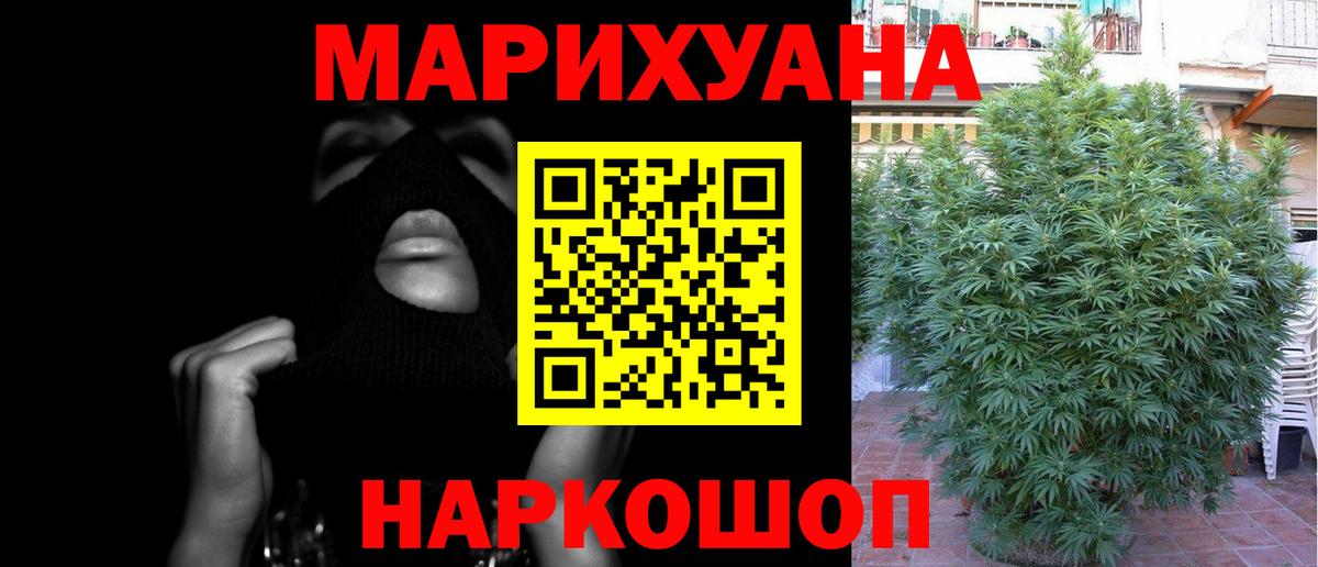Каннабис ГИДРОПОН  Каннабис Bruce Banner  Вход с VPN  Тимашёвск  Каннабис Ganja 